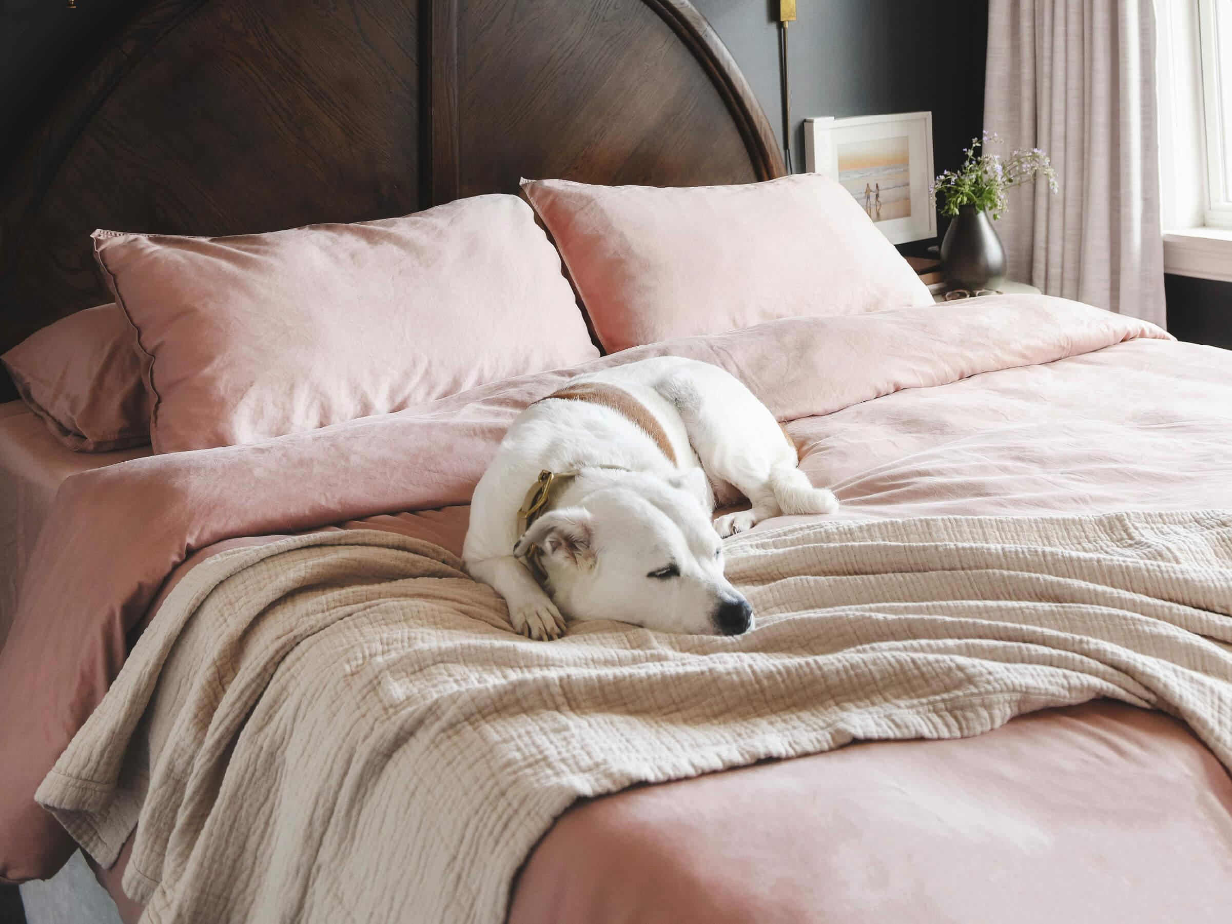Can’t Sleep? Try These 6 Tips Backed by Science