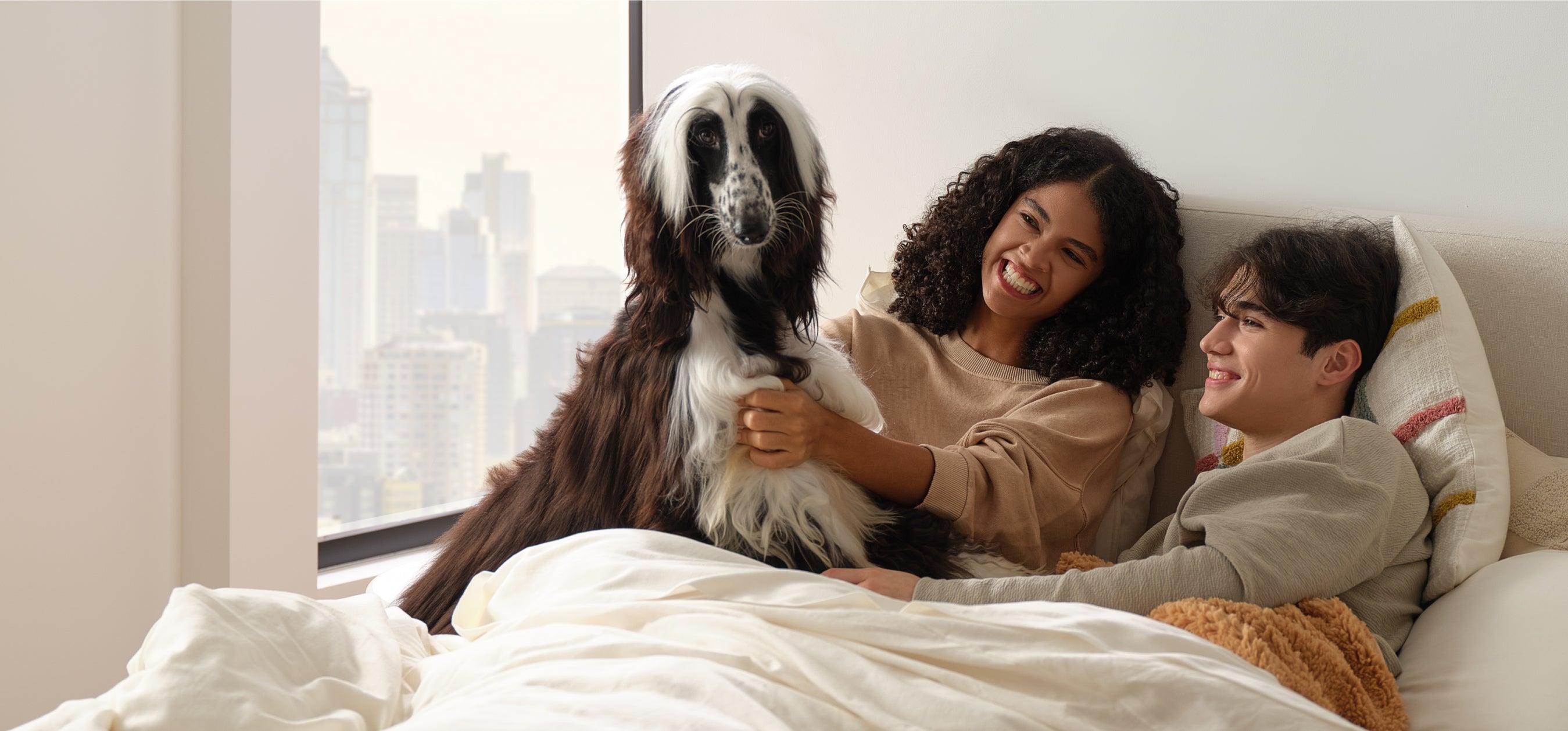 2_072ee798-6892-4d2b-869e-80c7c8eb5a78 - Double Stitch By Bedsure