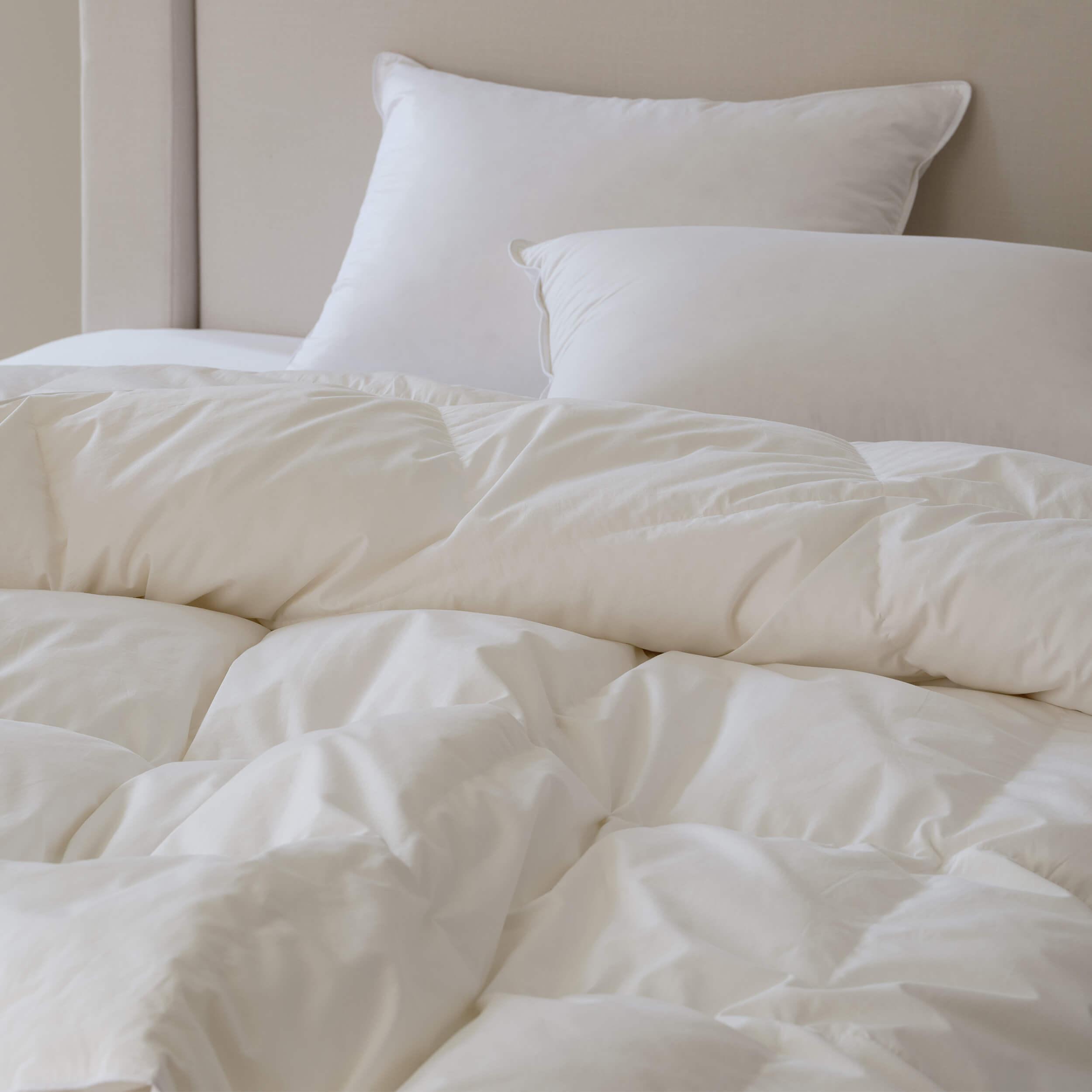 Duvet & Pillow Inserts