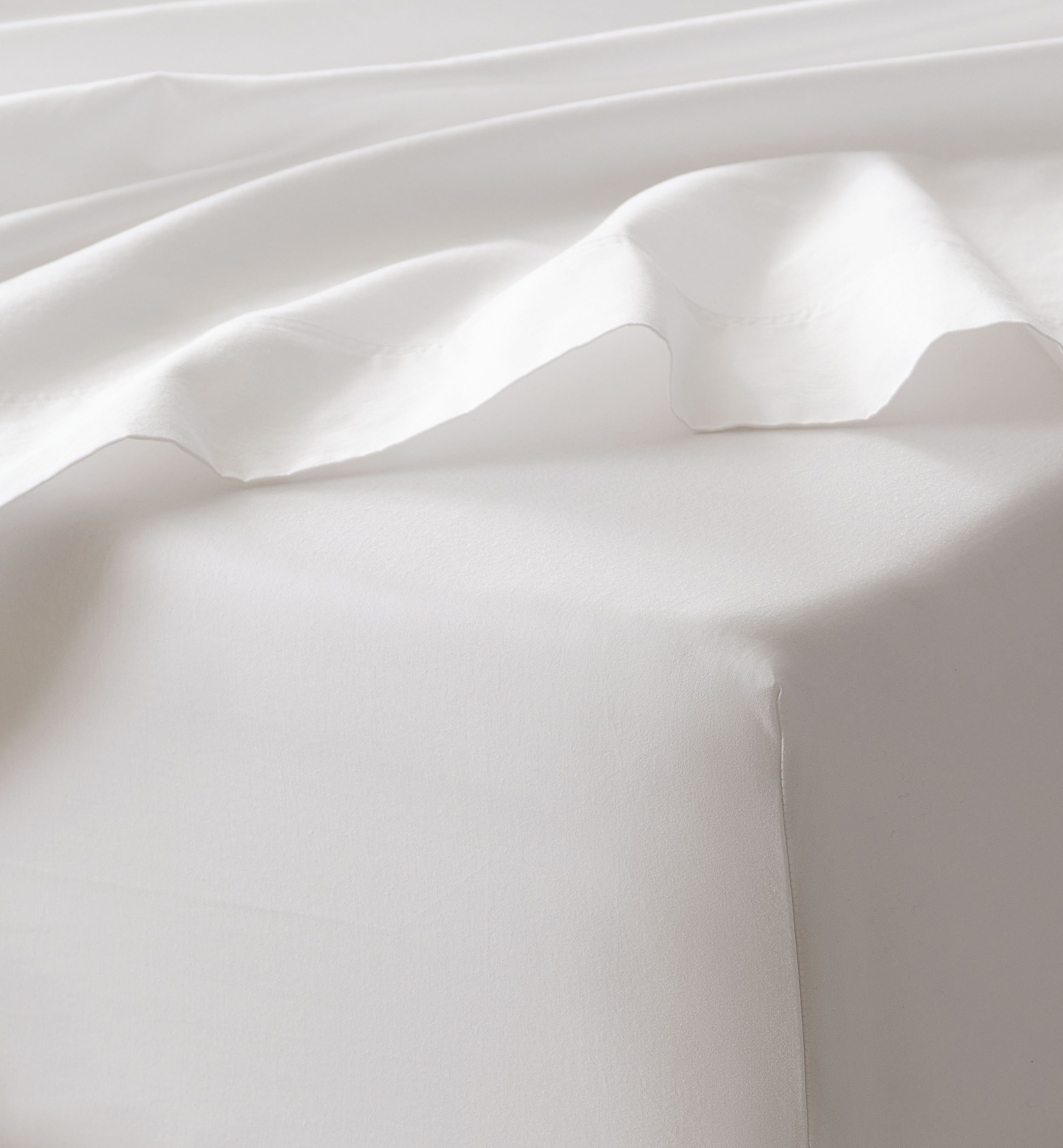 Organic Cotton Sheet Set