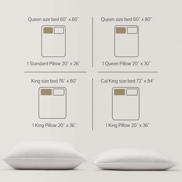Malaysia Typical Pillow Size Pillow-3 Chamber 80 White Duck Down